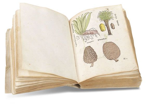   - Herbarum, arborum, fruticum, frumentorum. 1552 - 