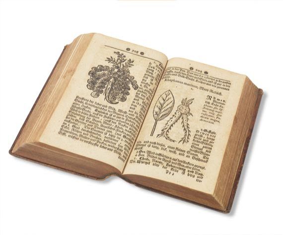 Samuel Müller - Curioser Botanicus, Oder: Sonderbahres Kräuter-Buch. 1730 - 