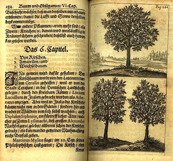 Wolfgang Jacob Dümler - Baum- und Obstgarten. 1664
