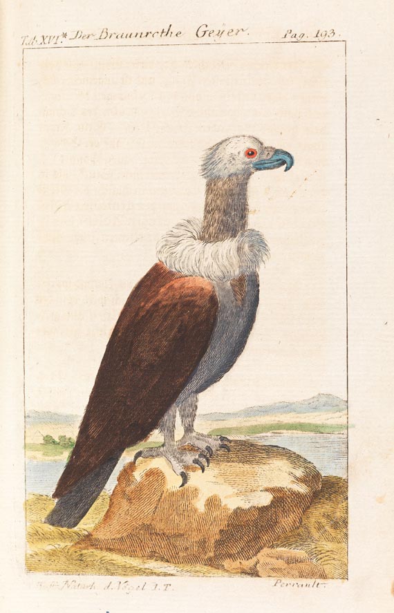 Georges Louis Leclerc comte de Buffon - Naturgeschichte der Vögel, 15 Bde., 1772