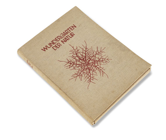 Karl Blossfeldt - Wundergarten der Natur. 1932. - Cover