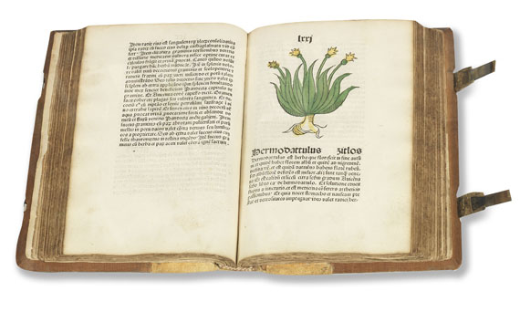 Herbarius Pataviae - Herbarius Patavie. 1485.