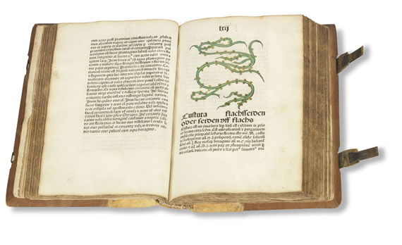   - Herbarius Patavie. 1485. - 