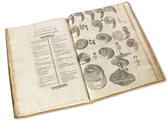 Hieronymus Fabricius ab Aquapendente - De formatione ovi. 1621. - 