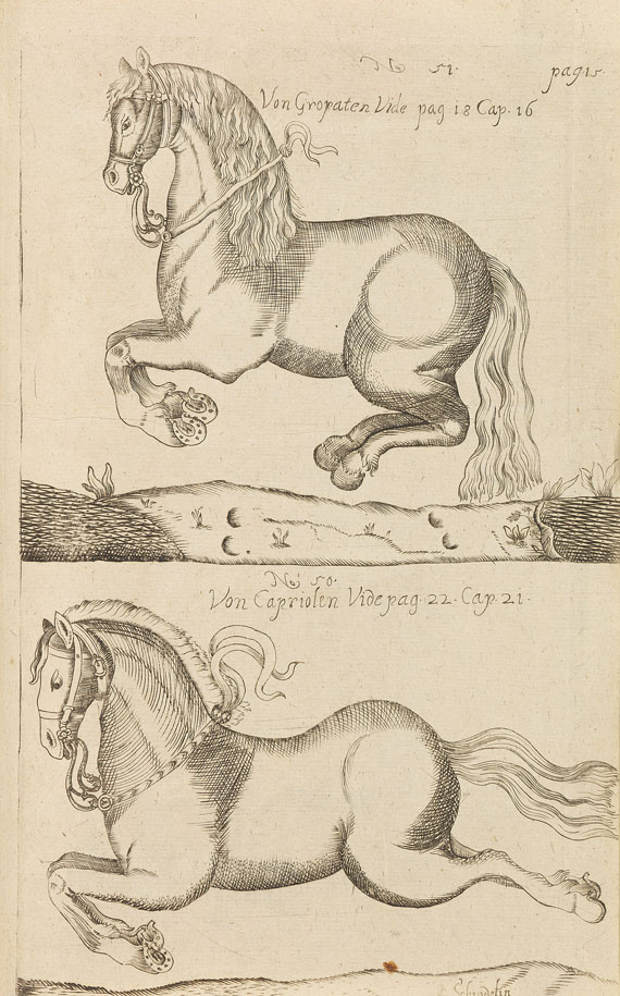 Pferde - Lieb, Chr. J., Practica et arte di cavalleria.