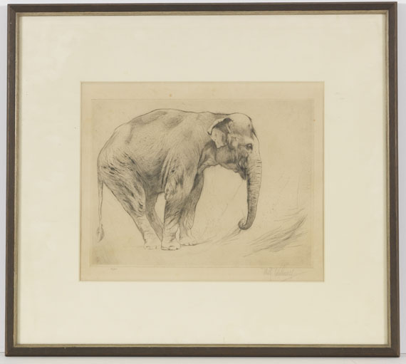 Wilhelm Kuhnert - 4 Bll: Indischer Elefant. Tiger. Löwen. Löwe sitzend - Frame image