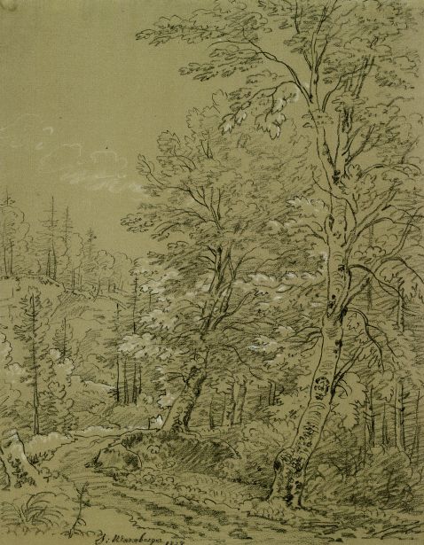 Simon Warnberger - Bäume am Waldweg