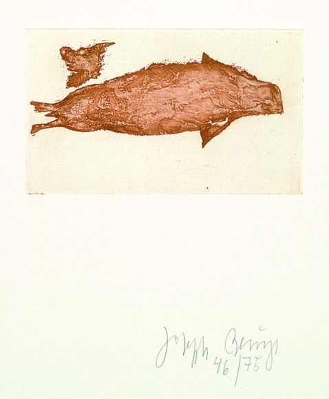 Joseph Beuys - Meerengel Robbe 3