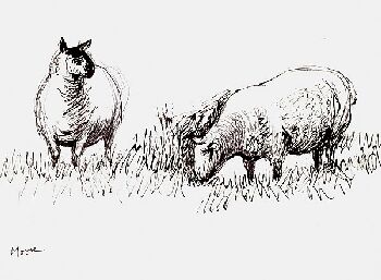Henry Moore - Two Sheep