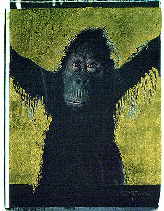 Werner Pawlok - Gorilla