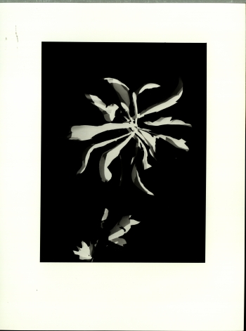 László Moholy-Nagy - 2 sheets: Blick von oben auf eine Straße. Fotogramm