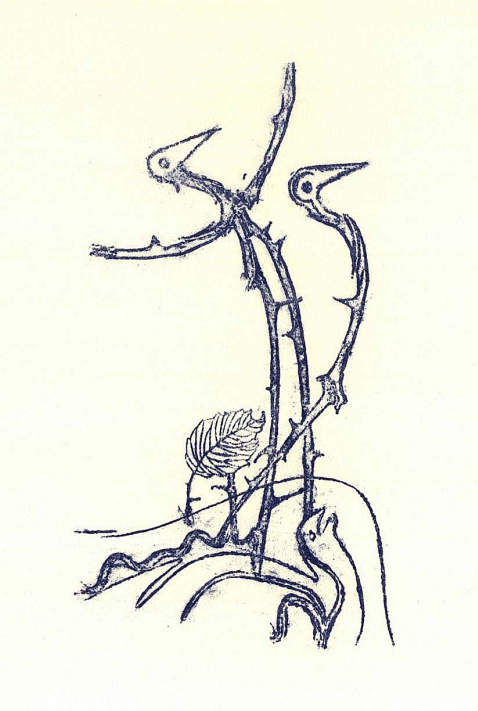 Max Ernst - Jean Tardieu. 1973