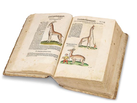 Conrad Gesner - Thierbuch. 1557