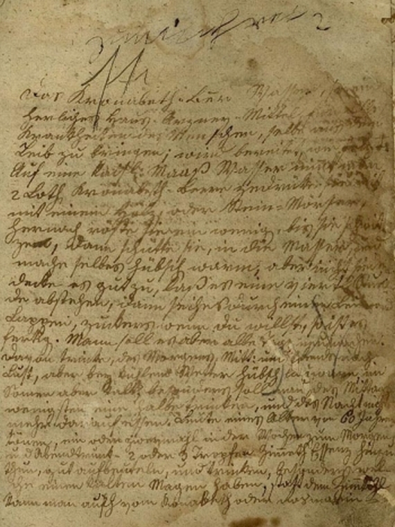 Hzg. zu Troppau u. Jägerndorff Eleonora Maria Rosalia - Freywillig-auffgesprungener Granat-Apffel. 1704