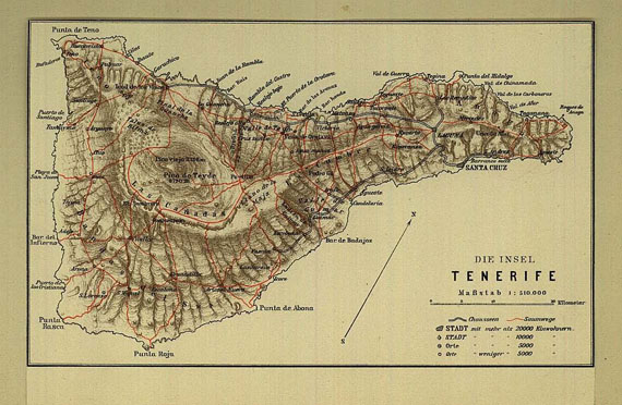 Hans Meyer - Insel Tenerife, 1896.