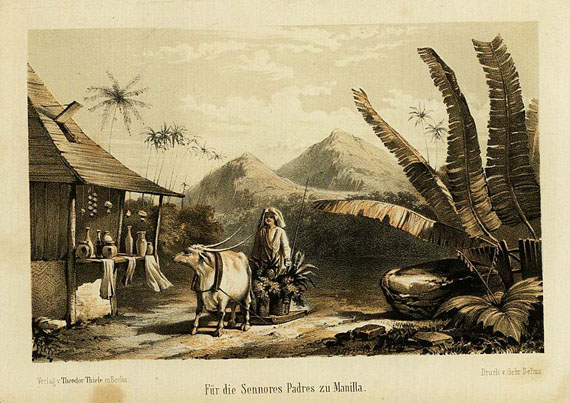 W. F. A. Zimmermann - Die Inseln, 3 Bde. 1863. [7]