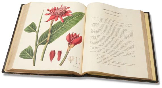 William Roscoe - Monandrian Plants, 1828. - 