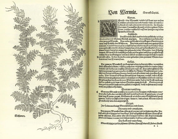 Faksimile - Fuchs, Leonhart, Kreutterbuch, 1543