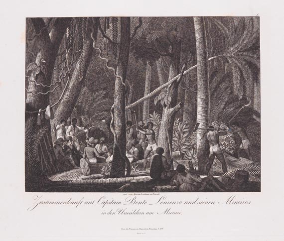 Prinz zu Wied-Neuwied Maximilian - Reise nach Brasilien, 3 Bde., 1820