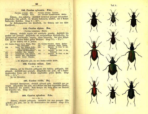   - Calwer, C. G., Käferbuch, 1858 + Berge: Schmetterlingsbuch + Schubert: Pflanzenreich (insg. 3 Bde.)