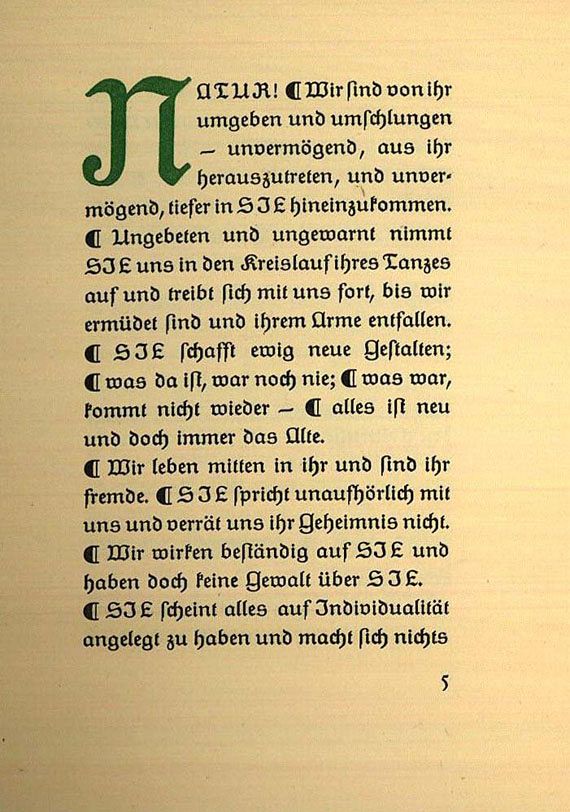 Johann Wolfgang von Goethe - Natur 1917
