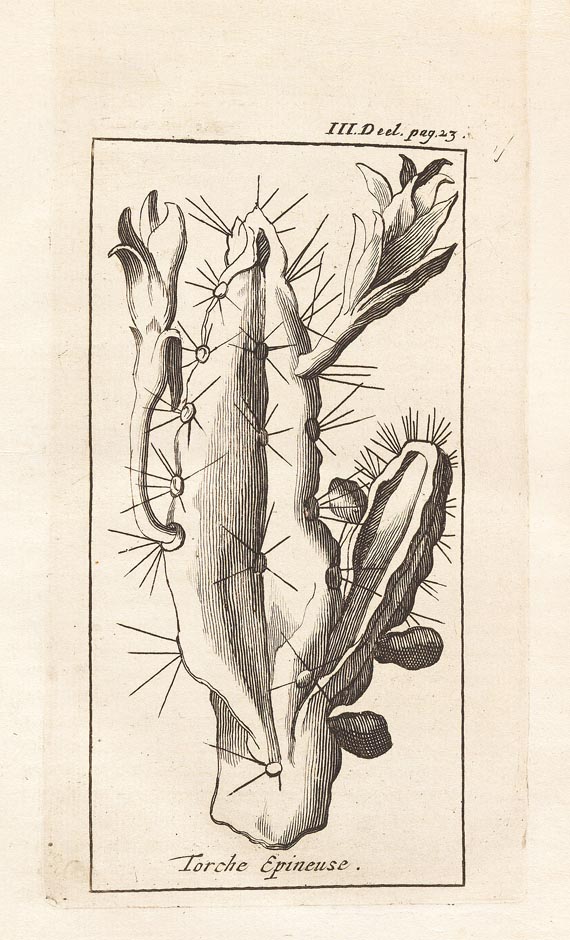 Jean Baptiste Labat - Nieuwe Reisen, 4 in 2 Bdn. 1725 - 