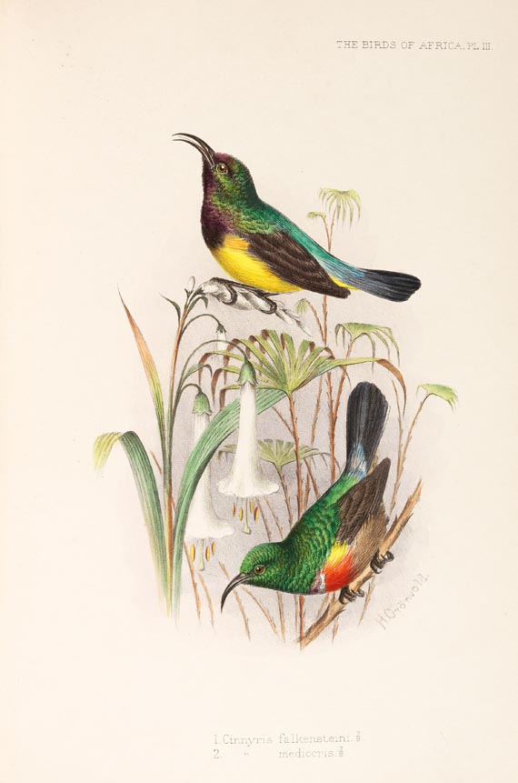 George Ernest Shelley - Birds of Africa, 6 Bde. (1896) - 