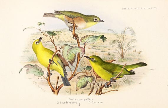 George Ernest Shelley - Birds of Africa, 6 Bde. (1896) - 