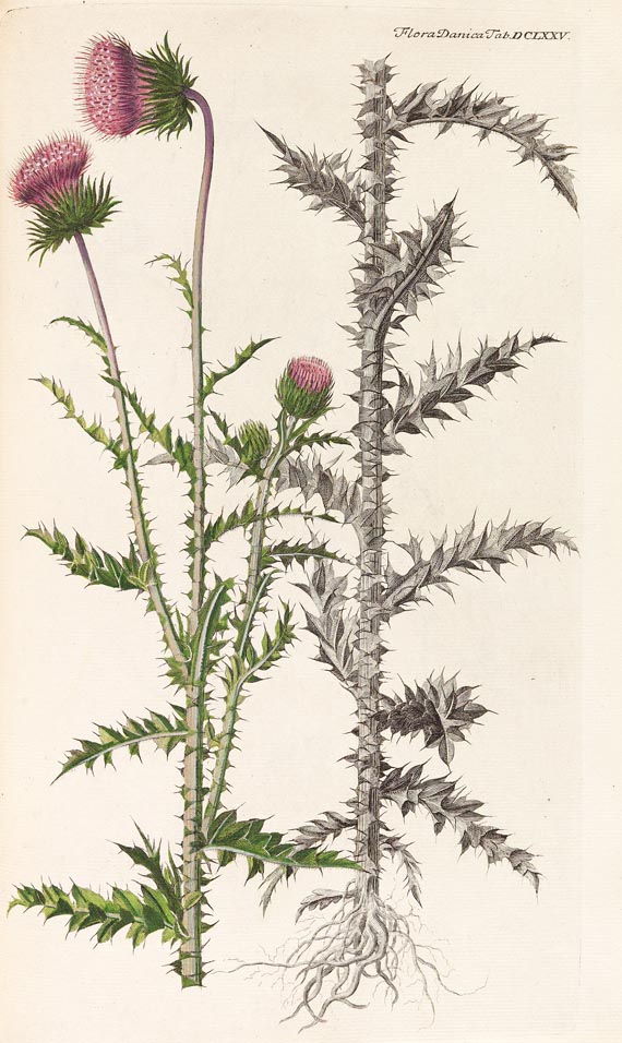 Georg Christian Oeder - Flora Danica, 1766, 29 Hefte in 15 Bdn.