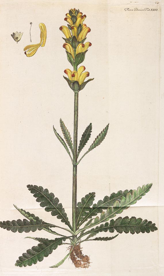 Georg Christian Oeder - Flora Danica, 1766, 29 Hefte in 15 Bdn.