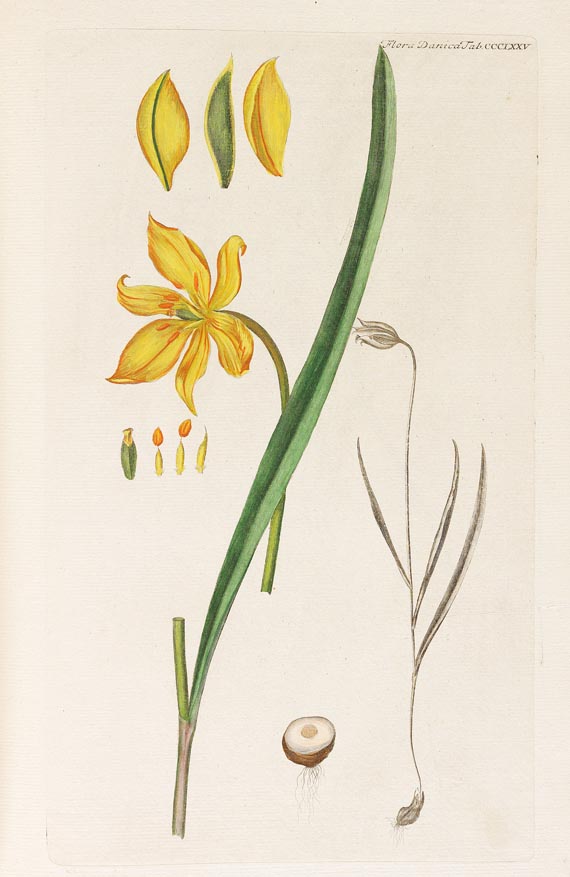 Georg Christian Oeder - Flora Danica, 1766, 29 Hefte in 15 Bdn. - 