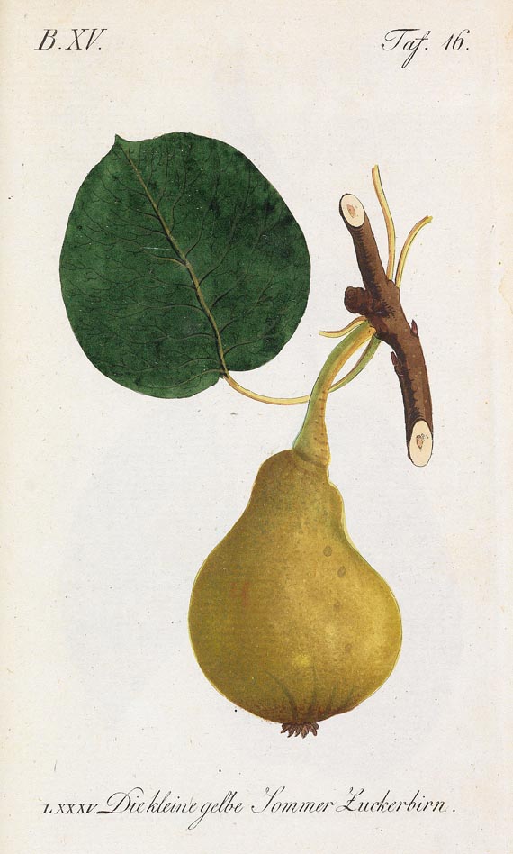 Johann Sickler - Der teutsche Obstgärtner 20 Bde. 1794 - 