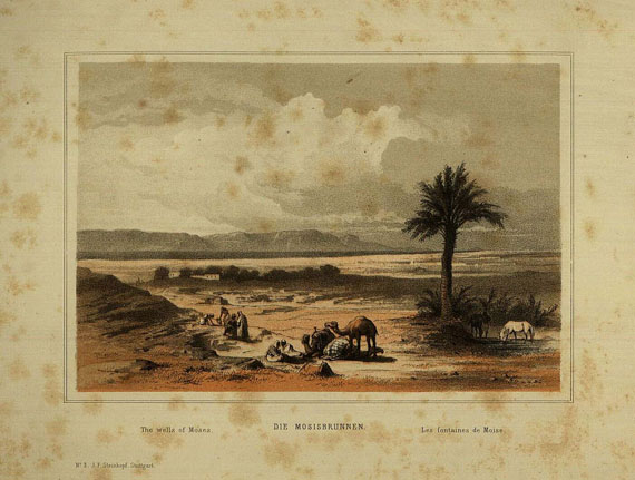 Gotthilf Heinr. von Schubert - Palästina. 1868