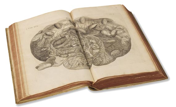 Hieronymus Fabricius ab Aquapendente - Opera omnia anatomica et physiologica. Leipzig 1687 - 