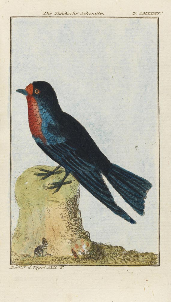 Georges Louis Leclerc Comte de Buffon - Allgemeine Naturgeschichte (vierfüß. Tiere, Vögel). Zus. 36 Bde. d. Reihe. 1784-96.