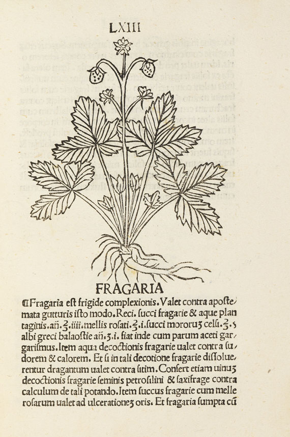   - Herbarium. 1491   17(11) - 