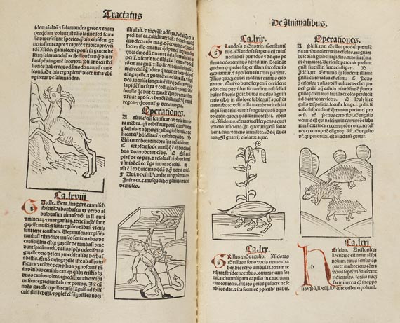   - Hortus sanitatis. 1491   26(S9) - 