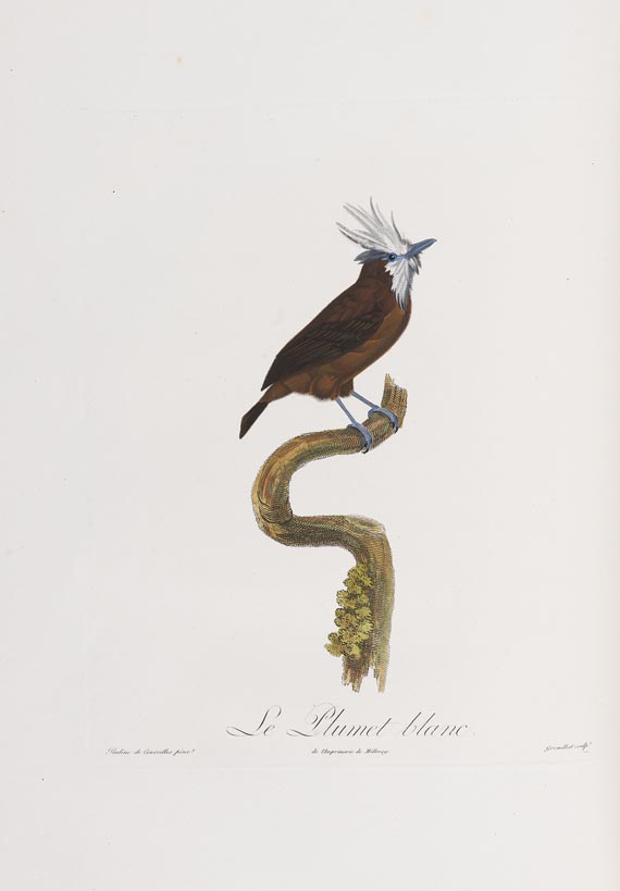 Anselme-Gaetan Desmarest - Histoire naturelle des Tangaras, des Manakins et des Todiers. 1805-07. - 