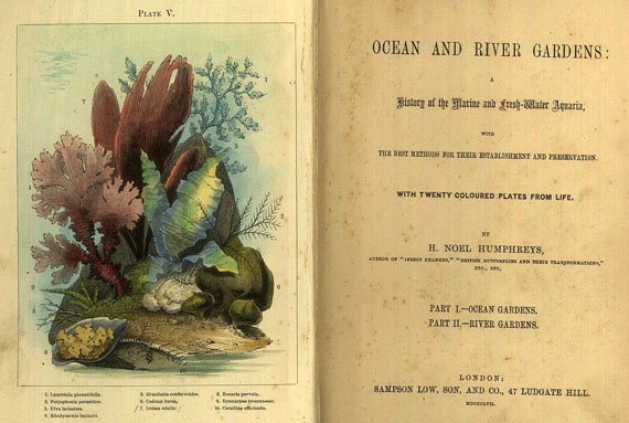 H. Noel Humphreys - Ocean and River Gardens. 1857.