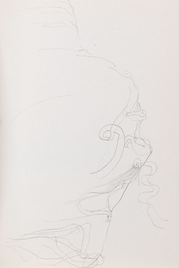 Joseph Beuys - Zeichnungen zu "Codices Madrid" von Leonardo da Vinci - 