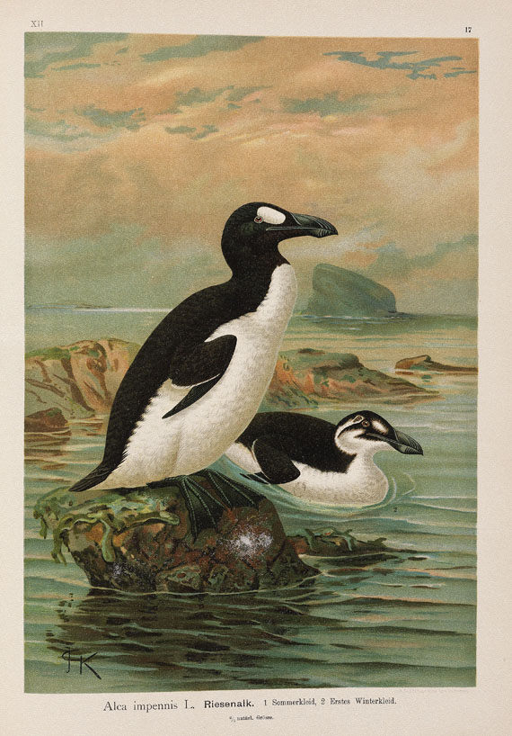 Johann Andreas Naumann - Naturgeschichte der Vögel. 1897-1905. 12 Bde.