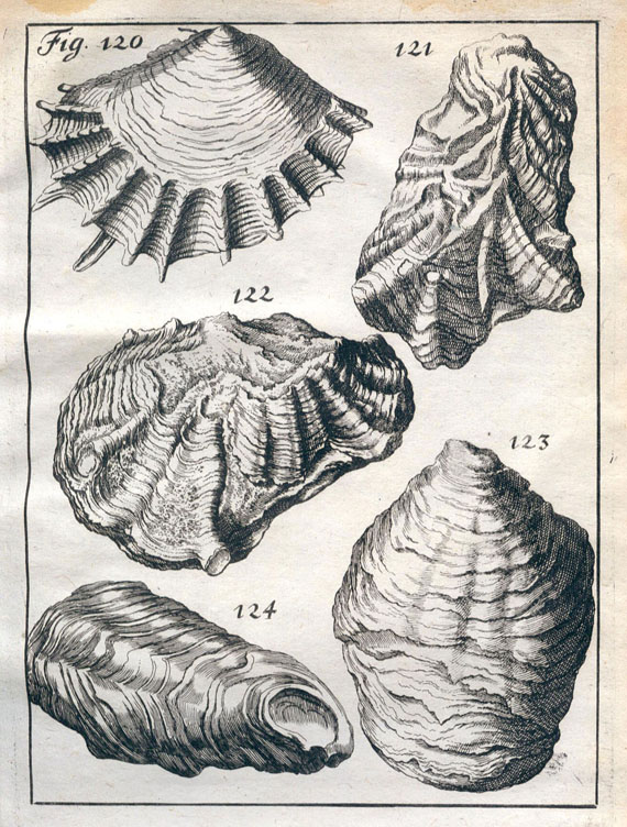 Johann Jakob Scheuchzer - Helvetiae stoicheiographia. 3 Tle. 1716