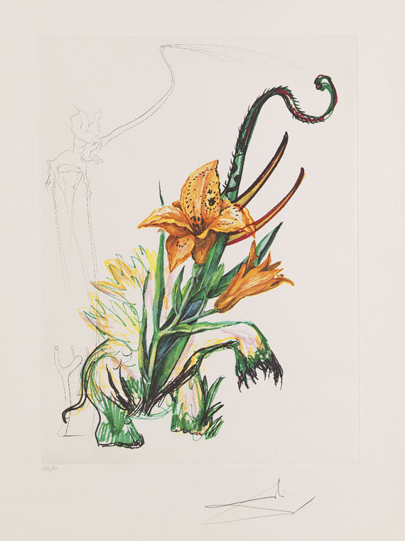Salvador Dalí - 3 Bätter: Hemerocallis thumbergii elephanter furiosa. Narcissus telephonans inondis. Dianthus carophilius cum clavinibus multibibis - 