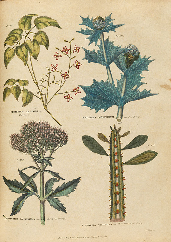 Thomas Green - Universal herbal. 2 Bde. 1824 - 