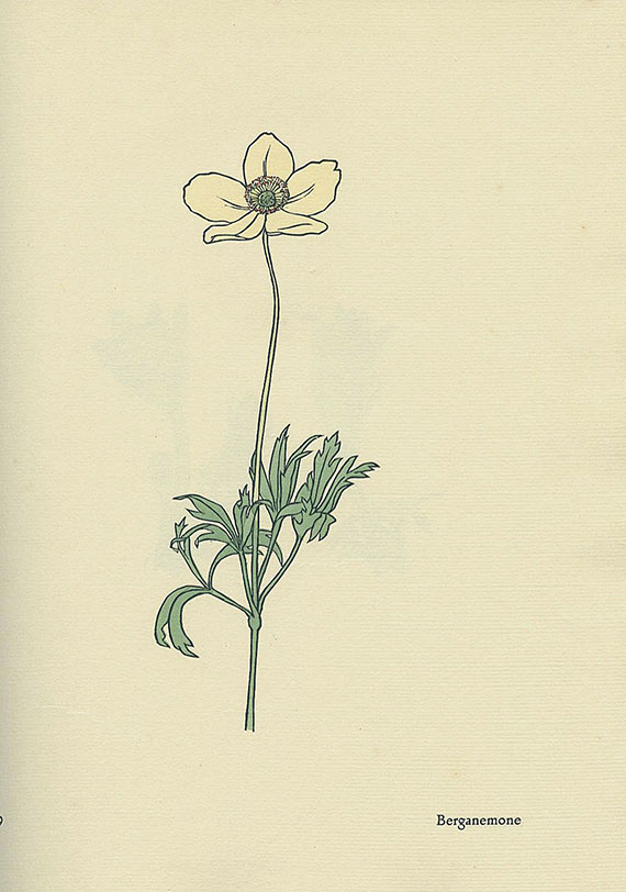 Rudolf Koch - Das Blumenbuch. 1929-1930