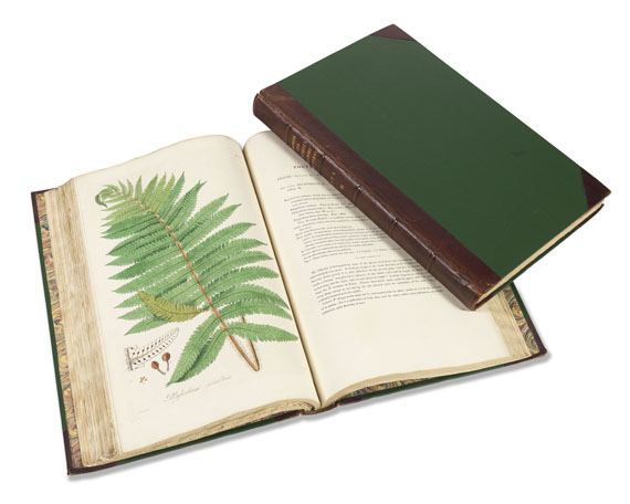 William Jackson Hooker - History of Ferns. 2 Bde. 1831 - 