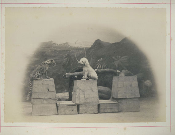 Fotografie - Atelier Peter Nisen, 5 Zirkus-Fotografien. 1891