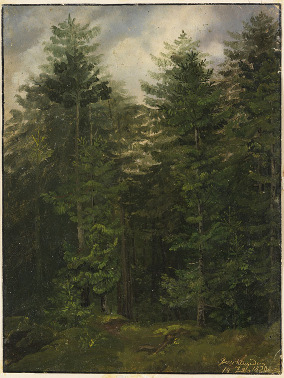 Tannenwald bei..., 1830