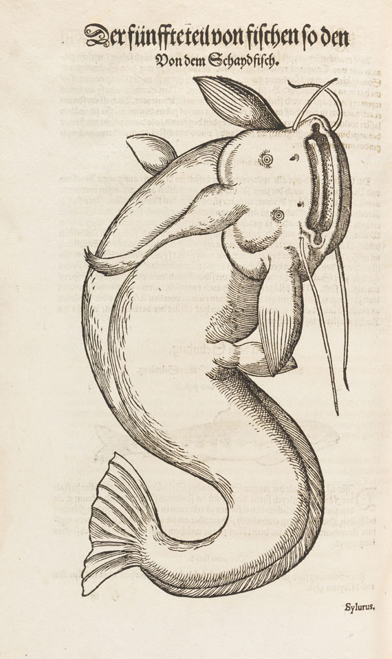 Conrad Gesner - Vogel-, Thier-, Fisch- und Schlangenbuch, 1575-89. - 
