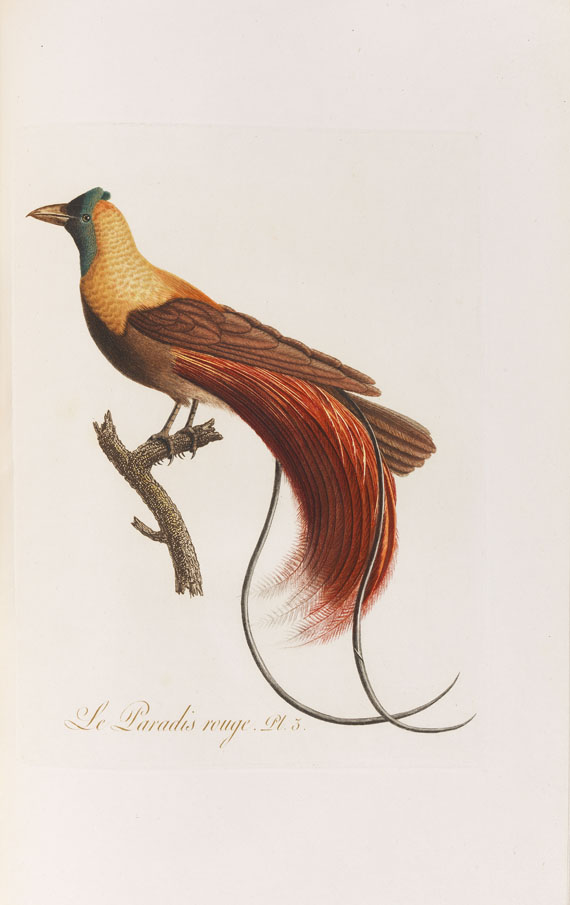 Jean Baptiste Audebert - Oiseaux dorés ou reflets métalliques. 1802. 2 Bde.. - 
